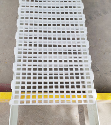 1200x500x50mm 닭고기 닭고기 농장 주택 플라스틱 슬래트 바닥 산업 디자인