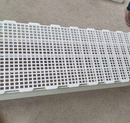 1200x500x50mm 닭고기 닭고기 농장 주택 플라스틱 슬래트 바닥 산업 디자인